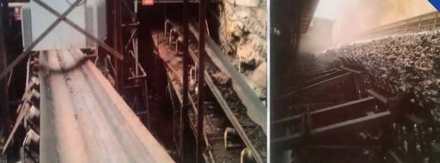 ag真人平台(中国游)官方网站注册